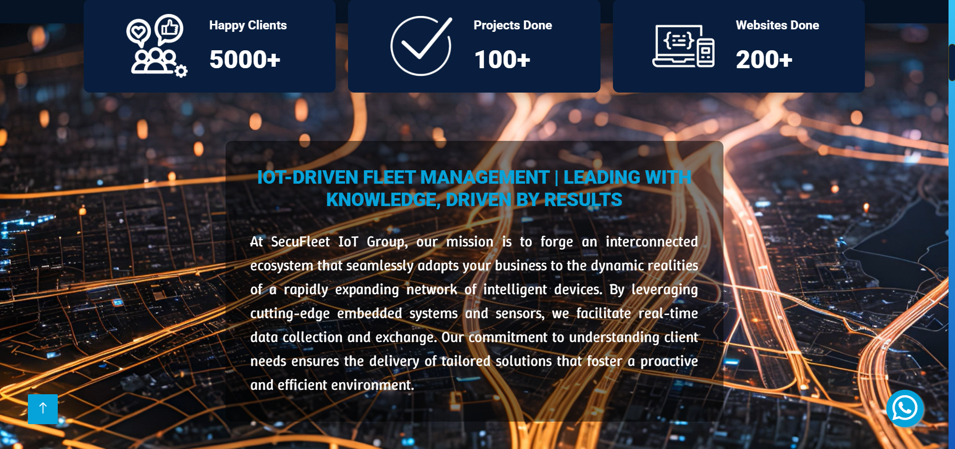 Forest canopy in fog